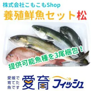 朝どれ『養殖鮮魚セット3尾入/箱』神経締め付