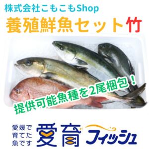 【厳選】朝どれ『養殖鮮魚セット　竹　』神経締め付