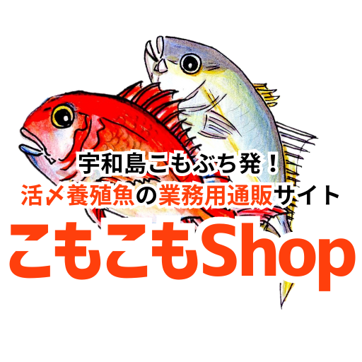 宇和島こもぶち初、活締養殖魚の業務用通販サイト　こもこもShop