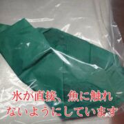 【希少な愛育フィッシュ】朝どれ鮮魚『養殖イシダイ1尾入』神経締め付