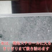 【愛媛のブランド真鯛】朝どれ鮮魚『海の鯛陽』神経締め付