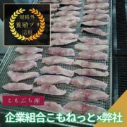 【規格外】養殖ブリの一夜干し10枚入/箱