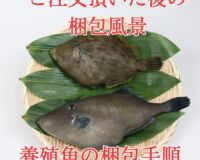 400up厳選『養殖カワハギ2尾入/箱』活〆付