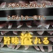 【規格外】養殖カンパチの一夜干し5枚入/箱