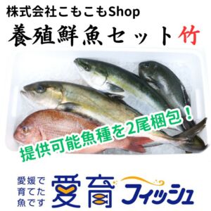 【厳選】朝どれ『養殖鮮魚セット　竹　』神経締め付