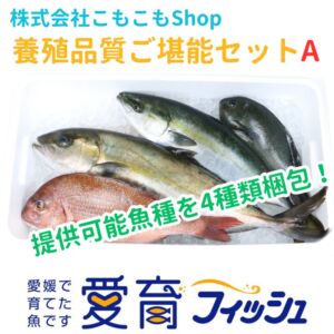 養殖品質ご堪能セットA（4尾入）/箱