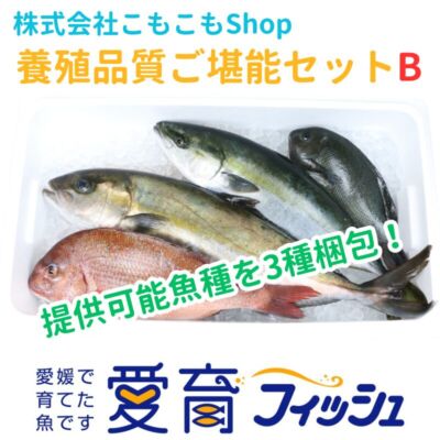 完売　養殖品質ご堪能セットB（3種入）/箱