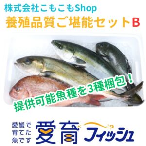 完売　養殖品質ご堪能セットB（3種入）/箱