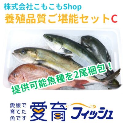 養殖品質ご堪能セットC（2尾入）/箱