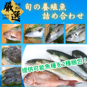 鮮魚セット2魚種入/箱