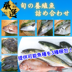 鮮魚セット3魚種入/箱