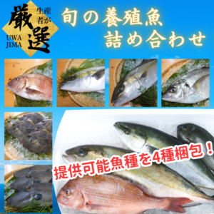鮮魚セット4魚種入/箱
