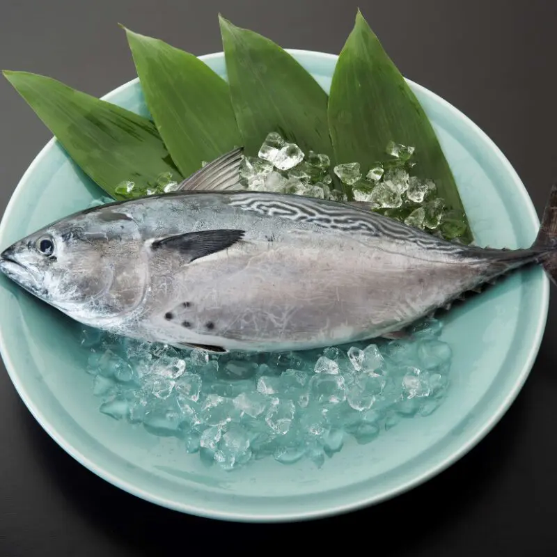新星！養殖スマ(媛スマ)冷凍皮付ロイン(400g以上) 2パック/箱 - 宇和島