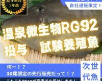 “RG92使用”温藻ウマヅラハギ5尾入/箱