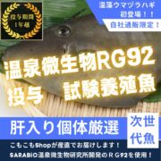 完売“RG92使用”温藻ウマヅラハギ5尾入/箱
