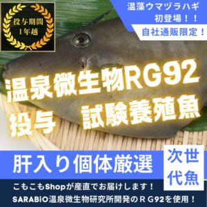 “RG92使用”温藻ウマヅラハギ5尾入/箱