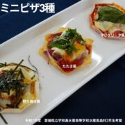 【OEM商品ﾓﾆﾀｰ価格】“媛スマ冷凍皮付ロイン(400g以上)×２パック”、高校生考案レシピ付！