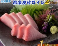 新星！養殖スマ(媛スマ)冷凍皮付ロイン(300g~330g) 2パック/箱