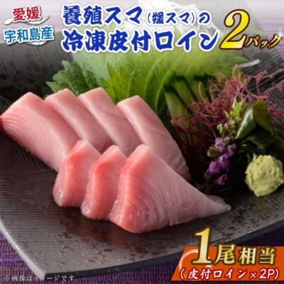 新星！養殖スマ(媛スマ)冷凍皮付ロイン(300g~330g) 2パック/箱