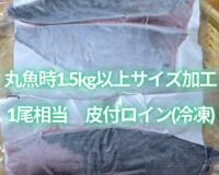【OEM商品ﾓﾆﾀｰ価格】“媛スマ皮付ロイン(丸魚時1.5kg以上サイズ加工)”　【1尾相当/箱】