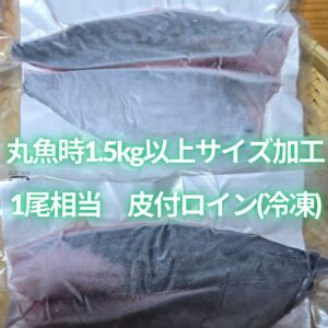 【OEM商品ﾓﾆﾀｰ価格】“媛スマ皮付ロイン(丸魚時1.5kg以上サイズ加工)”　【1尾相当/箱】