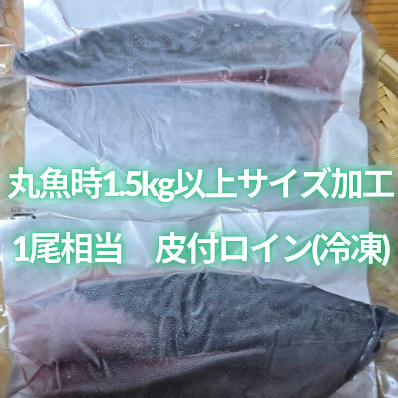 【OEM商品モニター価格】“媛スマ皮付ロイン(丸魚時1.5kg以上サイズ加工)” 【1尾相当/箱】