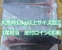 【OEM商品ﾓﾆﾀｰ価格】“媛スマ皮付ロイン(丸魚時1.3kg以上サイズ加工)”　【1尾相当/箱】