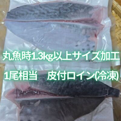 【OEM商品ﾓﾆﾀｰ価格】“媛スマ冷凍皮付ロイン(340g~390g)×２パック”【1尾相当/箱】