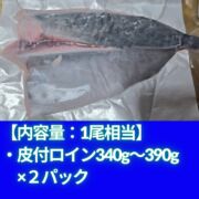 【OEM商品モニター価格】“媛スマ皮付ロイン(丸魚時1.3kg以上サイズ加工)” 【1尾相当/箱】