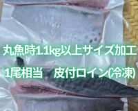 【OEM商品ﾓﾆﾀｰ価格】“媛スマ皮付ロイン(丸魚時1.1kg以上サイズ加工)”　【1尾相当/箱】